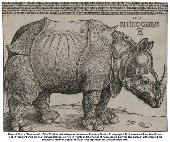 Albrecht-Durer-Rhinoceros