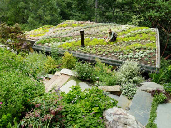 Mill-Valley-Cabins-by-Feldman-Architecture-image1